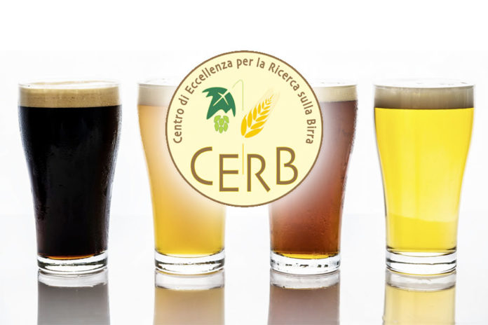 corso degustazione birra